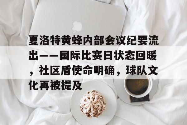 kaiyun-关于夏洛特黄蜂内部会议纪要流出——国际比赛日状态回暖，社区盾使命明确，球队文化再被提及的信息-kaiyun